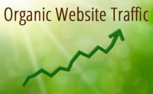 Read more about the article How to optimize search engine to increase organic traffic