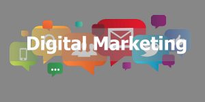 Read more about the article Why You Should Choose Digital Marketing If You Are A Job Seeker?