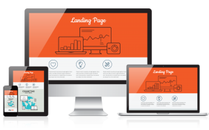 Read more about the article Why Should You Put More Focus On Landing Page?
