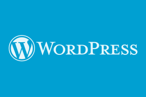 Read more about the article 4 Important Things Every WordPress User Should Know About