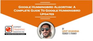 Read more about the article Google Hummingbird Algorithm: A Complete Guide To Google Hummingbird Updates