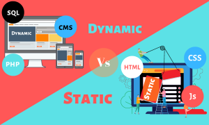 Read more about the article What Is Website Design? Static & Dynamic Explained