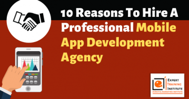 10 Reasons To Hire A Professional Mobile App Development Agency