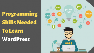 Read more about the article Programming Skills Needed To Learn WordPress