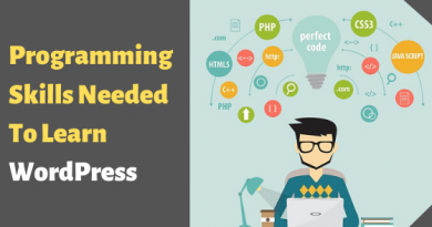 Programming Skills Needed To Learn WordPress