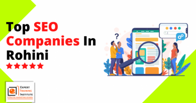 Top SEO Companies In Rohini