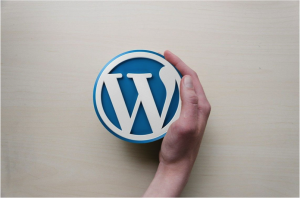 Read more about the article Reasons to Choose WordPress for Building and Designing Your Website
