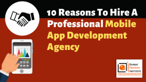 Read more about the article 10 Reasons To Hire A Professional Mobile App Development Agency