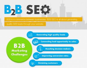Read more about the article B2b Search Engine Marketing: The Guidelines for Effective Website Optimization